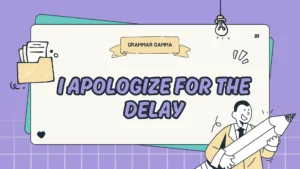 I Apologize For The Delay