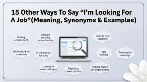 I'm Looking For A Job