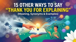 Thank You For Explaining Meaning Synonyms